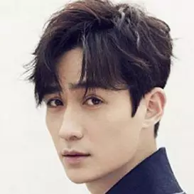 Zhu Yilong net worth