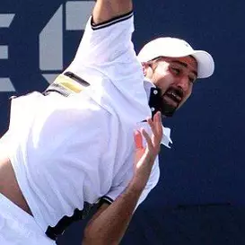 Nenad Zimonjic net worth