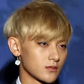 Huang Zitao net worth