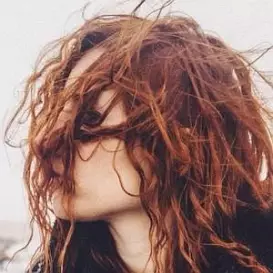 Chiara Zonca net worth